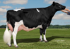 Moeder Dominic2